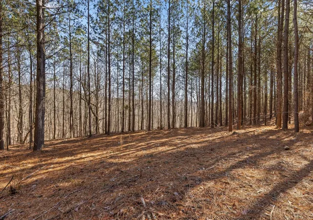 Photo 2 of Land for sale at 0 Wildlife Way, Guild, TN 37340 | MLS# 3261920 | Listing updated on 2026-09-11