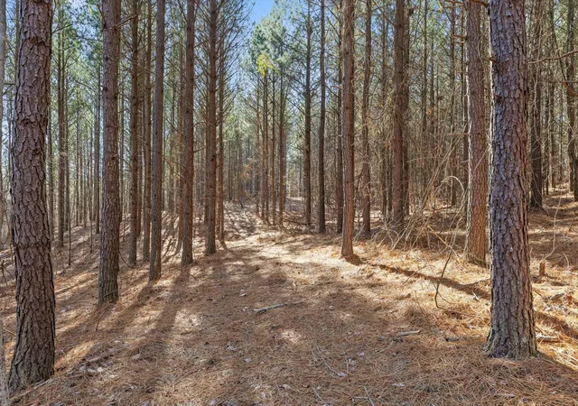 Photo 3 of Land for sale at 0 Wildlife Way, Guild, TN 37340 | MLS# 3261920 | Listing updated on 2026-09-11