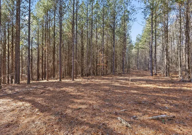 Photo 3 of Land for sale at 0 Wildlife Way, Guild, TN 37340 | MLS# 3261920 | Listing updated on 2026-09-11