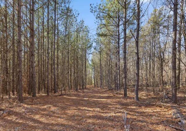 Photo 4 of Land for sale at 0 Wildlife Way, Guild, TN 37340 | MLS# 3261920 | Listing updated on 2026-09-11