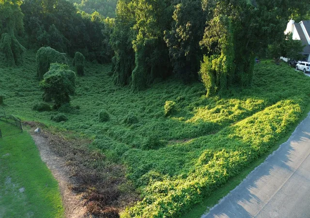 Photo 3 of Land for sale at 57 Matthew Ln, Dayton, TN 37321 | MLS# 2958663 | Listing updated on 2026-09-11