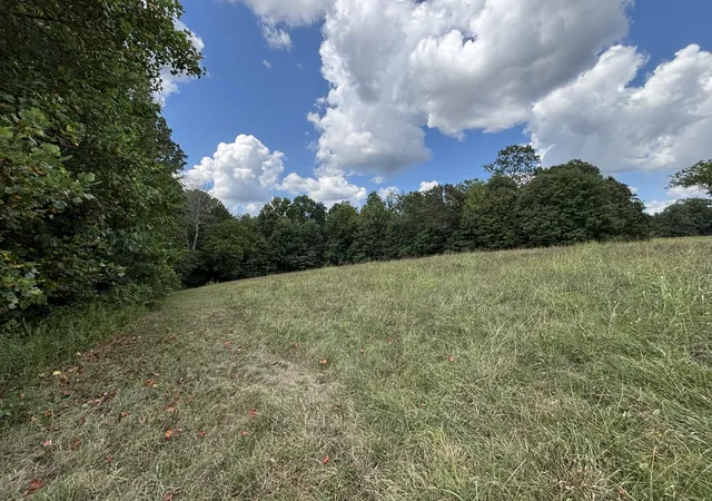 Photo 1 of Land for sale at 0 Hwy 7 Lot 25, Lyles, TN 37098 | MLS# 2970519 | Listing updated on 2026-09-15