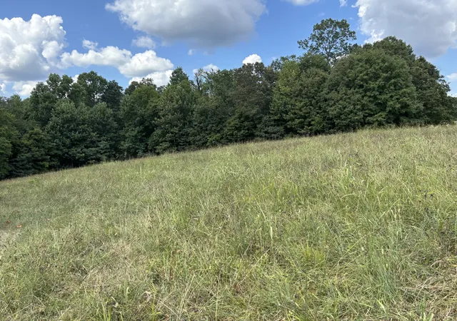 Photo 2 of Land for sale at 0 Hwy 7 Lot 25, Lyles, TN 37098 | MLS# 2970519 | Listing updated on 2026-09-15