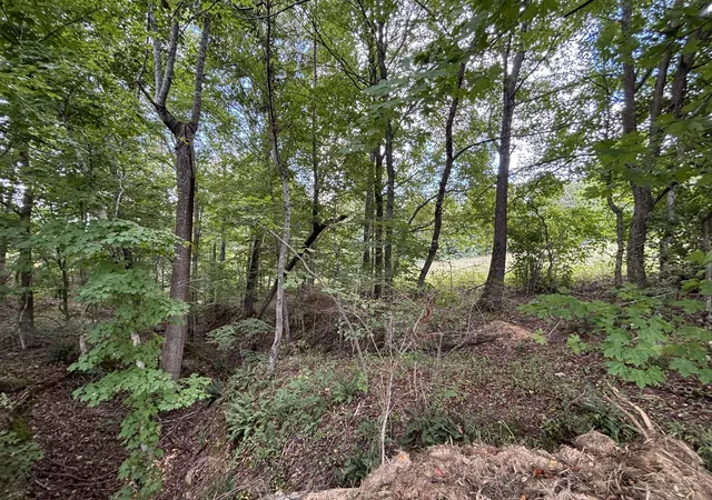 Photo 3 of Land for sale at 0 Hwy 7 Lot 25, Lyles, TN 37098 | MLS# 2970519 | Listing updated on 2026-09-15