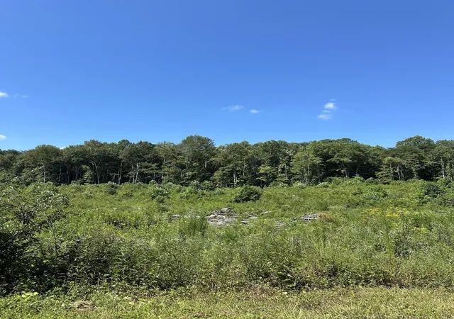 Photo 1 of Land for sale at 12 Dykes Holw Rd, Tracy City, TN 37387 | MLS# 2975857 | Listing updated on 2026-09-11