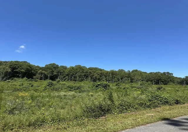 Photo 2 of Land for sale at 12 Dykes Holw Rd, Tracy City, TN 37387 | MLS# 2975857 | Listing updated on 2026-09-11