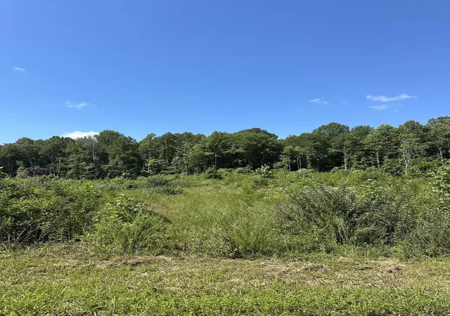 Photo 3 of Land for sale at 12 Dykes Holw Rd, Tracy City, TN 37387 | MLS# 2975857 | Listing updated on 2026-09-11
