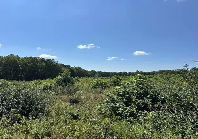 Photo 3 of Land for sale at 12 Dykes Holw Rd, Tracy City, TN 37387 | MLS# 2975857 | Listing updated on 2026-09-11