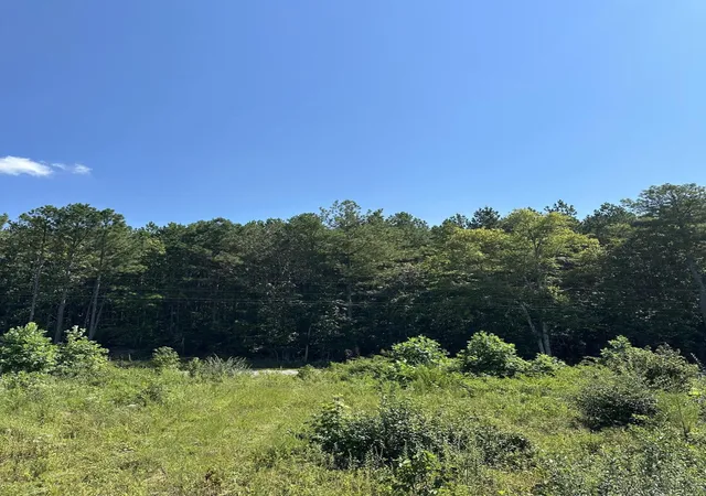 Photo 4 of Land for sale at 12 Dykes Holw Rd, Tracy City, TN 37387 | MLS# 2975857 | Listing updated on 2026-09-11