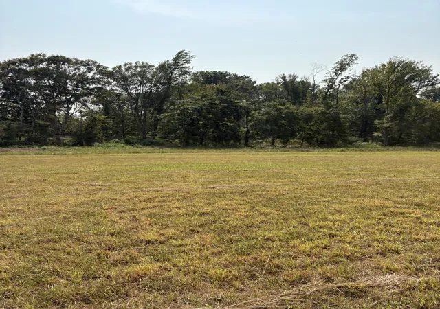 Photo 3 of Land for sale at 0 Cairo Bnd, Lebanon, TN 37087 | MLS# 2991006 | Listing updated on 2026-09-09