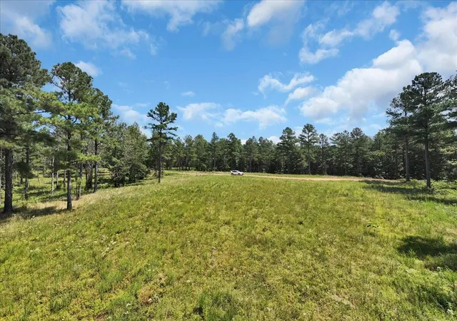 Photo 2 of Land for sale at 0 Musket Rd, Guild, TN 37340 | MLS# 2991347 | Listing updated on 2026-09-14