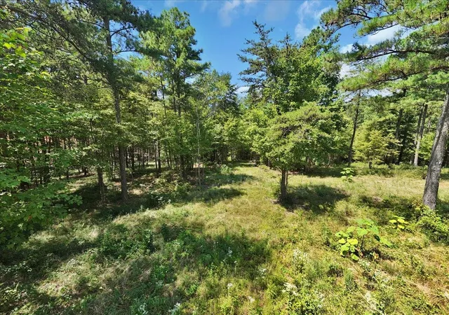 Photo 3 of Land for sale at 0 Musket Rd, Guild, TN 37340 | MLS# 2991347 | Listing updated on 2026-09-14