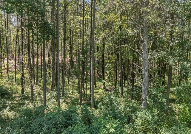 Photo 3 of Land for sale at 0 Musket Rd, Guild, TN 37340 | MLS# 2991347 | Listing updated on 2026-09-14