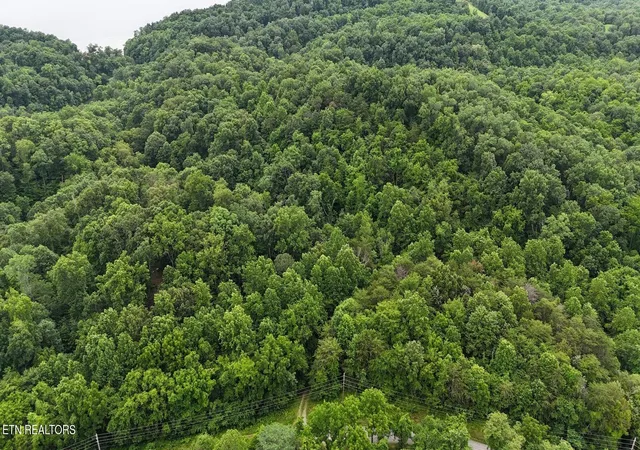 Land for sale at 0 Fortunato Dr, White Pine, TN 37890 | MLS# 3128119