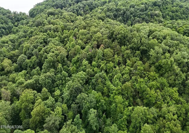 Photo 2 of Land for sale at 0 Fortunato Dr, White Pine, TN 37890 | MLS# 3128119 | Listing updated on 2026-09-11
