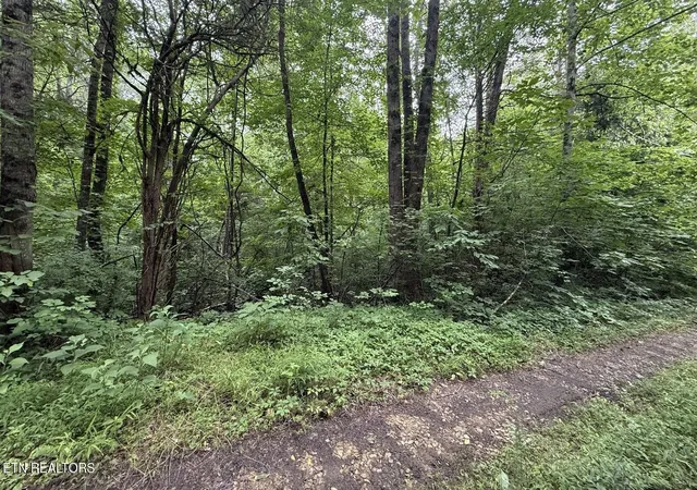 Photo 3 of Land for sale at 0 Fortunato Dr, White Pine, TN 37890 | MLS# 3128119 | Listing updated on 2026-09-11