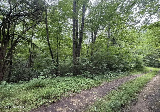 Photo 3 of Land for sale at 0 Fortunato Dr, White Pine, TN 37890 | MLS# 3128119 | Listing updated on 2026-09-11