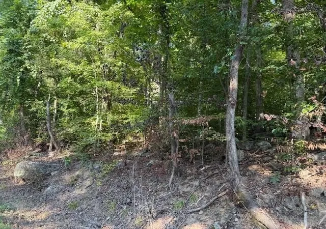 Photo 3 of Land for sale at 13 Mullins Cvs Rd, Whitwell, TN 37397 | MLS# 2995397 | Listing updated on 2026-09-11