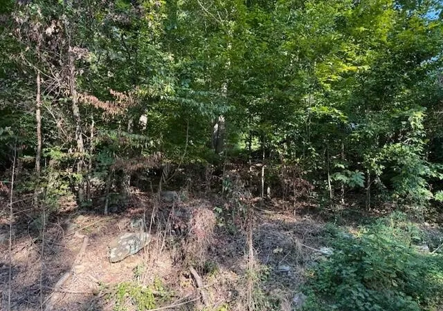 Photo 3 of Land for sale at 13 Mullins Cvs Rd, Whitwell, TN 37397 | MLS# 2995397 | Listing updated on 2026-09-11