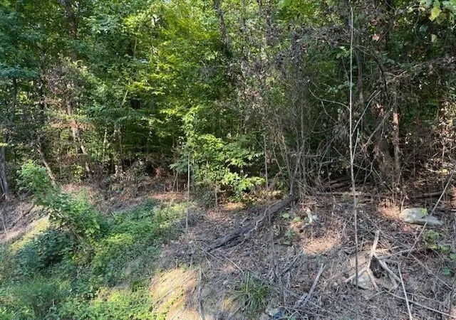Photo 4 of Land for sale at 13 Mullins Cvs Rd, Whitwell, TN 37397 | MLS# 2995397 | Listing updated on 2026-09-11