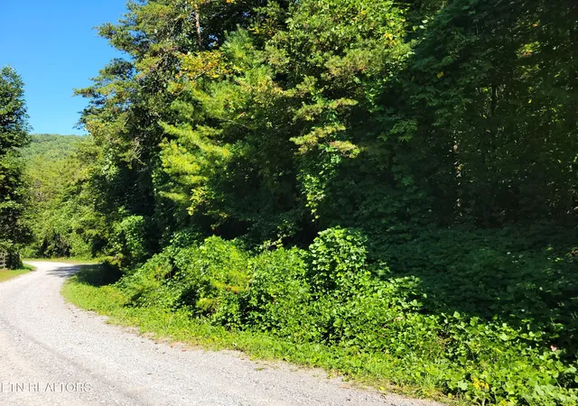 Photo 2 of Land for sale at 39 Sugar Maple Way, Del Rio, TN 37727 | MLS# 3314618 | Listing updated on 2026-09-10