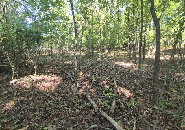 Photo 2 of Land for sale at 0 Spring St, Monteagle, TN 37356 | MLS# 3000078 | Listing updated on 2026-09-11