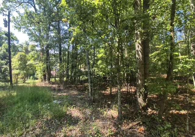 Photo 3 of Land for sale at 0 Spring St, Monteagle, TN 37356 | MLS# 3000078 | Listing updated on 2026-09-11