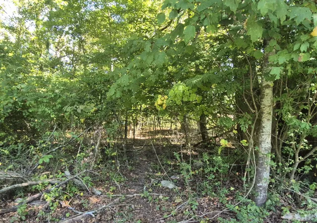 Photo 4 of Land for sale at 0 Spring St, Monteagle, TN 37356 | MLS# 3000078 | Listing updated on 2026-09-11
