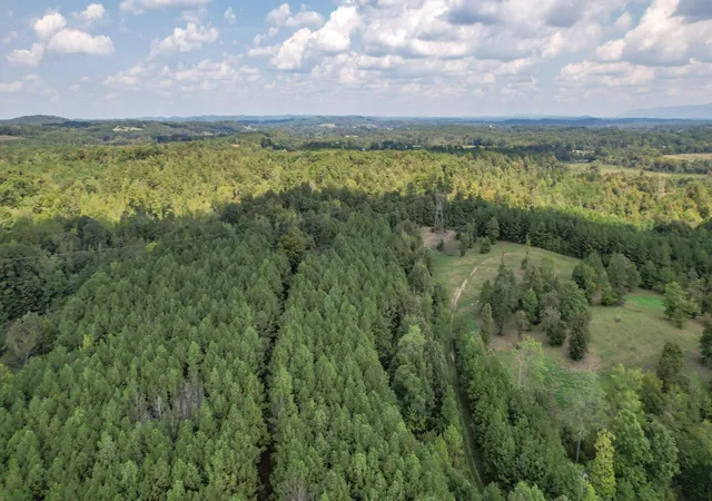 Photo 2 of Land for sale at 8093 Wright Ln Ne, Cleveland, TN 37323 | MLS# 3224421 | Listing updated on 2026-09-15