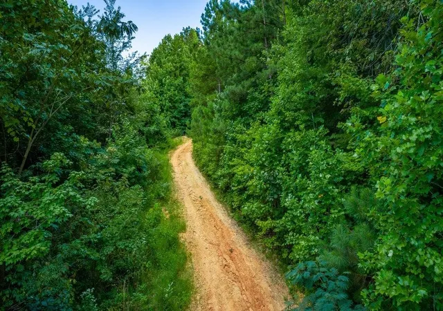 Photo 2 of Land for sale at 359 Co Rd 4, Calhoun, TN 37309 | MLS# 3208462 | Listing updated on 2026-09-28