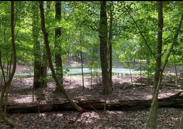 Photo 4 of Land for sale at 359 Co Rd 4, Calhoun, TN 37309 | MLS# 3208462 | Listing updated on 2026-09-28