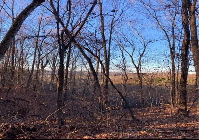Photo 7 of Land for sale at 359 Co Rd 4, Calhoun, TN 37309 | MLS# 3208462 | Listing updated on 2026-09-28