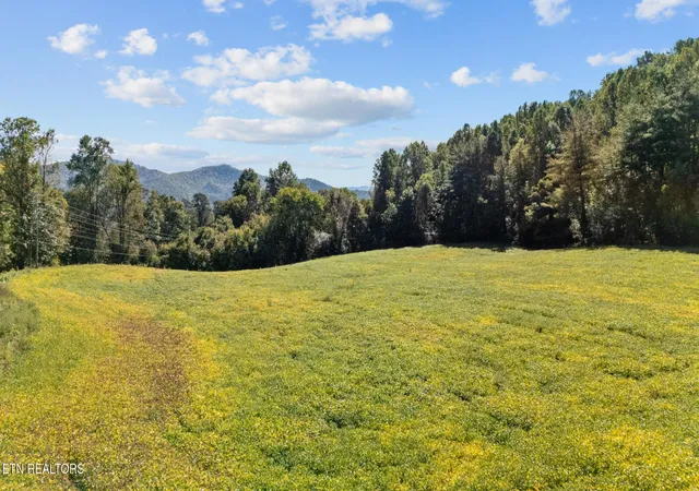 Photo 3 of Land for sale at 0 Jones Cove Rd, Cosby, TN 37722 | MLS# 3007650 | Listing updated on 2026-09-11