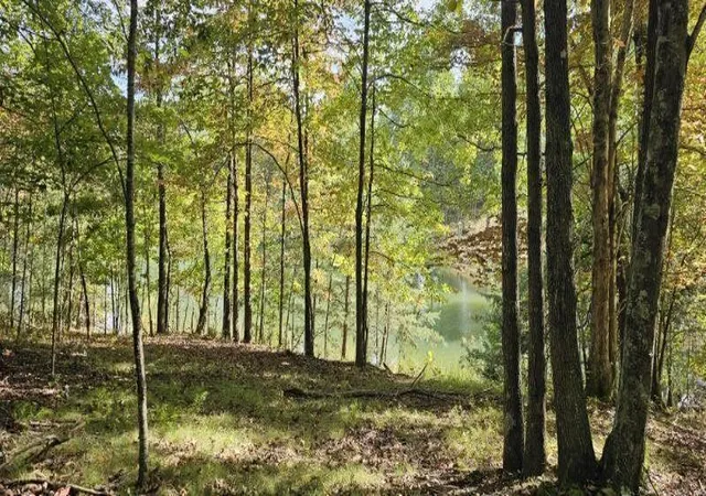 Photo 4 of Land for sale at 515 Wilderness Way, Dunlap, TN 37327 | MLS# 3011512 | Listing updated on 2026-10-01