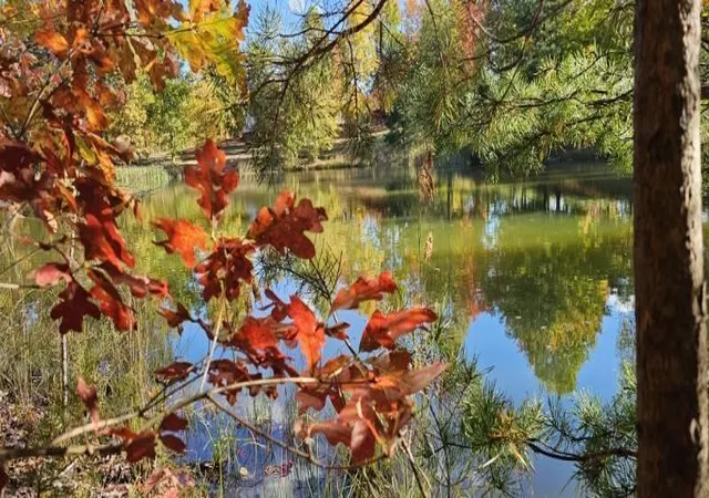 Photo 1 of Land for sale at 515 Wilderness Way, Dunlap, TN 37327 | MLS# 3011512 | Listing updated on 2026-10-01
