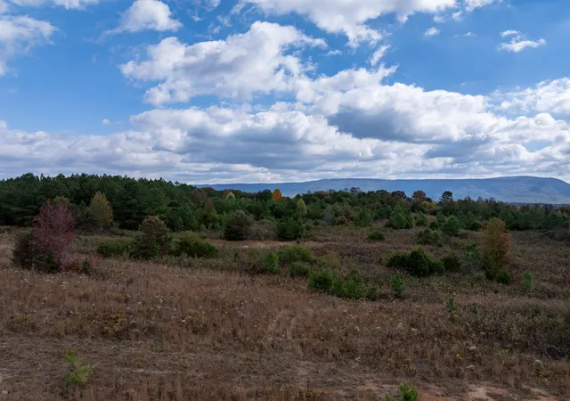 Photo 3 of Land for sale at 0 County Rd 788, Etowah, TN 37331 | MLS# 3215889 | Listing updated on 2026-09-14