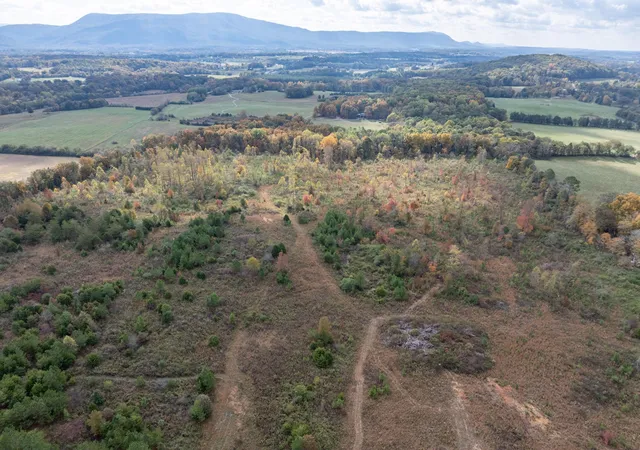 Photo 3 of Land for sale at 0 County Rd 788, Etowah, TN 37331 | MLS# 3215889 | Listing updated on 2026-09-14