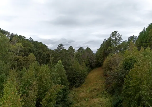Photo 3 of Land for sale at 0 Greenwood Rd, Ringgold, GA 30736 | MLS# 3013946 | Listing updated on 2026-09-11