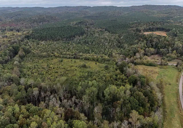 Photo 3 of Land for sale at 0 Greenwood Rd, Ringgold, GA 30736 | MLS# 3013946 | Listing updated on 2026-10-03