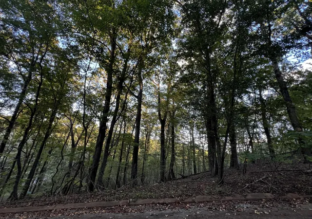 Photo 3 of Land for sale at 6604 Declaration Dr, Hixson, TN 37343 | MLS# 3015311 | Listing updated on 2026-09-11