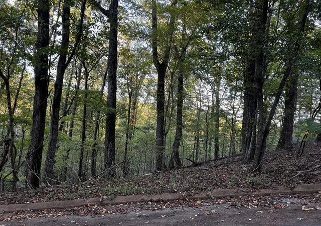 Photo 4 of Land for sale at 6604 Declaration Dr, Hixson, TN 37343 | MLS# 3015311 | Listing updated on 2026-09-11