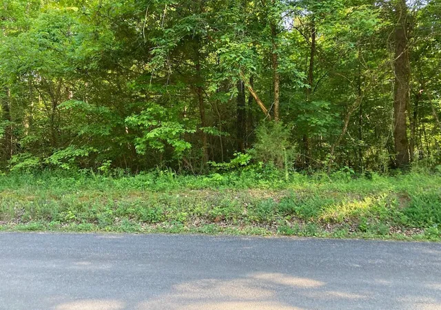 Photo 1 of Land for sale at 0 Horner Hollow Road, Birchwood, TN 37308 | MLS# 3268535 | Listing updated on 2026-09-11