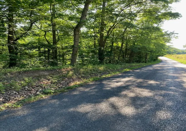 Photo 2 of Land for sale at 0 Horner Hollow Road, Birchwood, TN 37308 | MLS# 3268535 | Listing updated on 2026-09-11