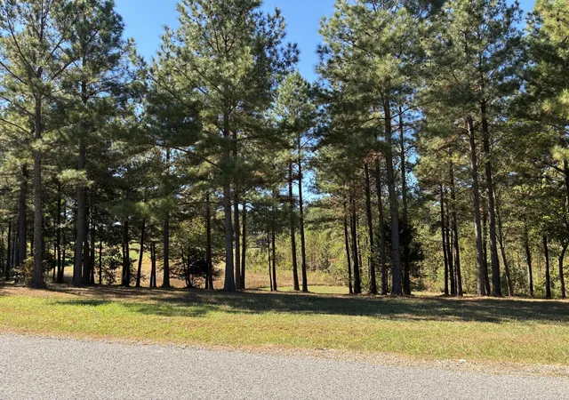 Photo 1 of Land for sale at 241 Pappy Rd, Jasper, TN 37347 | MLS# 3017534 | Listing updated on 2026-09-11