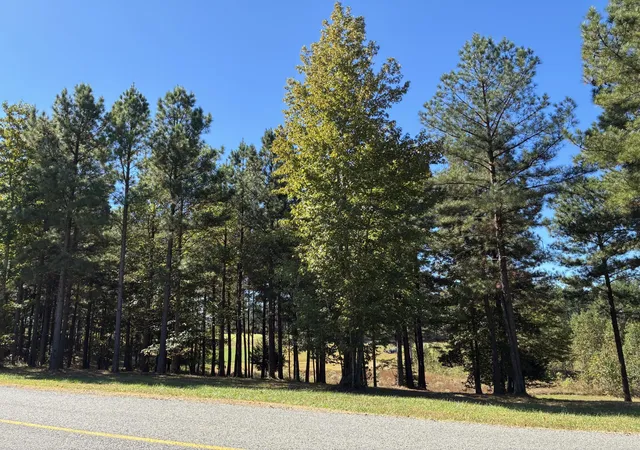 Photo 3 of Land for sale at 241 Pappy Rd, Jasper, TN 37347 | MLS# 3017534 | Listing updated on 2026-09-11