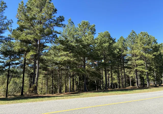 Photo 4 of Land for sale at 241 Pappy Rd, Jasper, TN 37347 | MLS# 3017534 | Listing updated on 2026-09-11