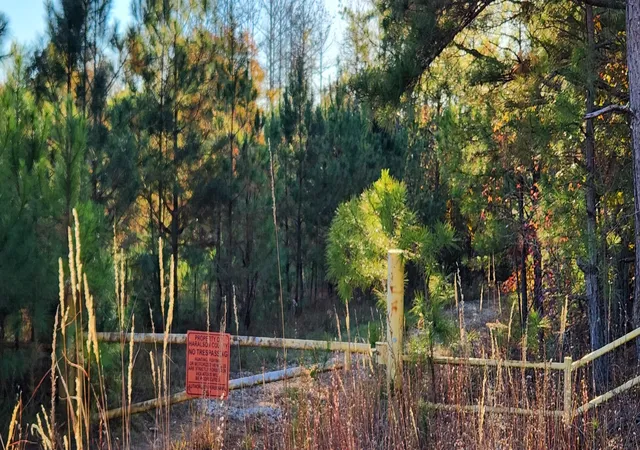 Photo 2 of Land for sale at 0 Budapest Rd Road, Tallapoosa, GA 30176 | MLS# 3179445 | Listing updated on 2026-09-11