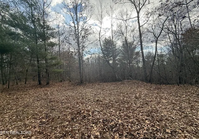 Photo 1 of Land for sale at 1076 Valerie Dr, Deer Lodge, TN 37726 | MLS# 3018476 | Listing updated on 2026-10-02