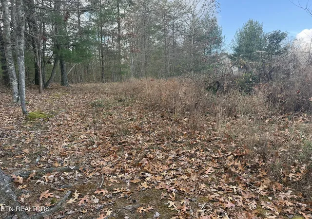 Photo 2 of Land for sale at 1076 Valerie Dr, Deer Lodge, TN 37726 | MLS# 3018476 | Listing updated on 2026-10-02