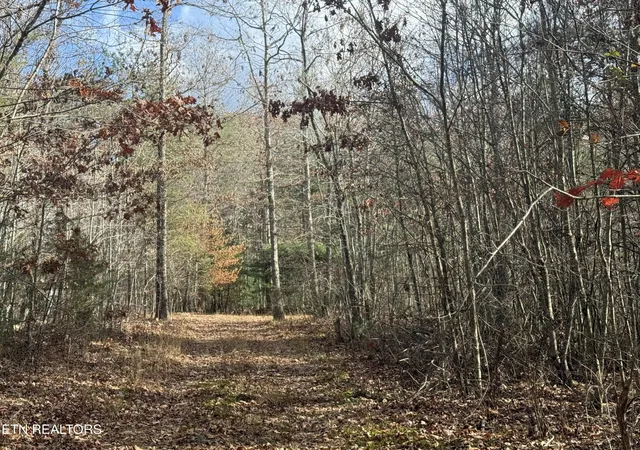 Photo 3 of Land for sale at 1076 Valerie Dr, Deer Lodge, TN 37726 | MLS# 3018476 | Listing updated on 2026-10-02